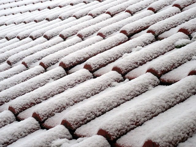 Roofing tiles f covered b snow