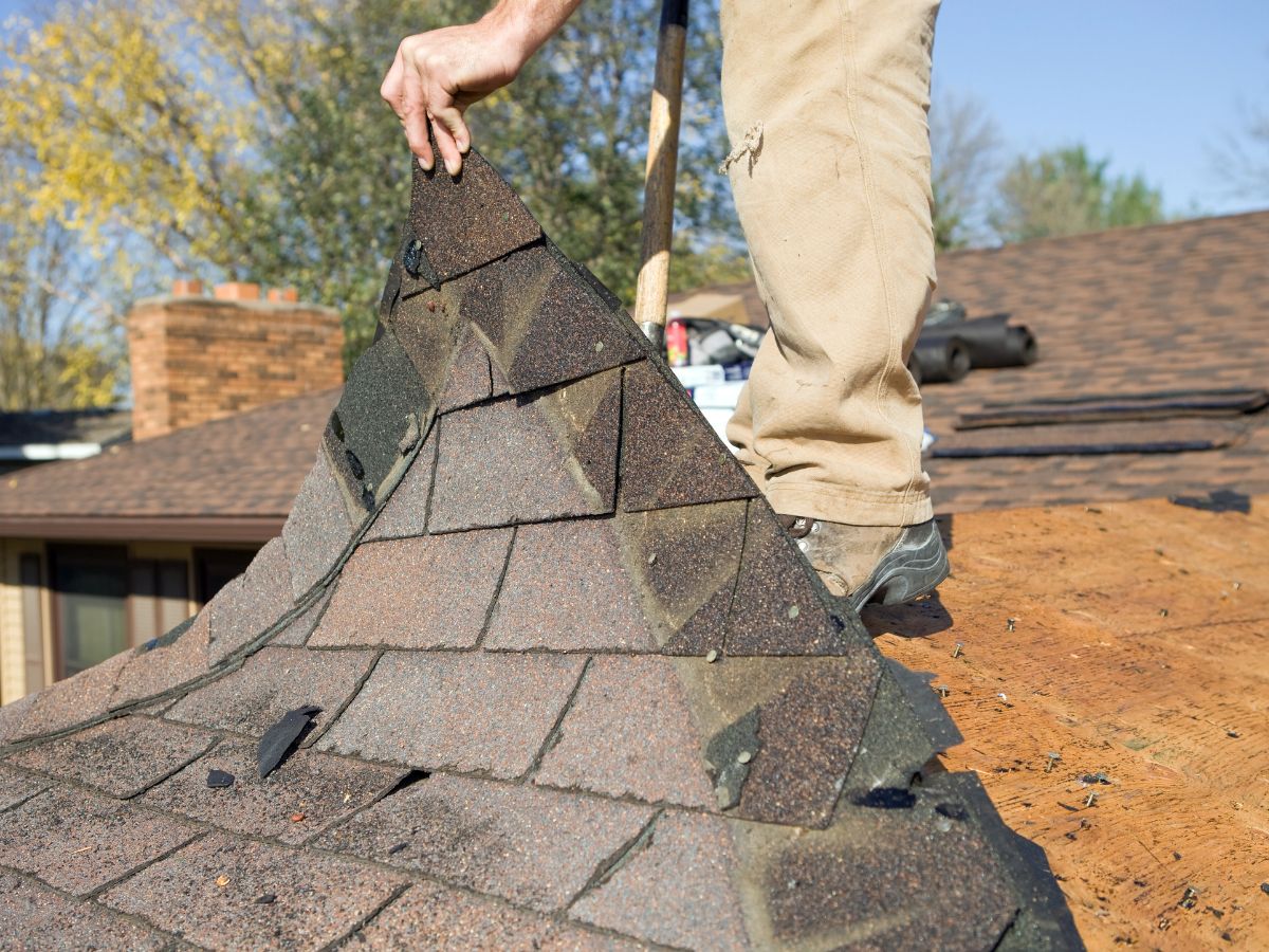 a damaged and leaky roof removal