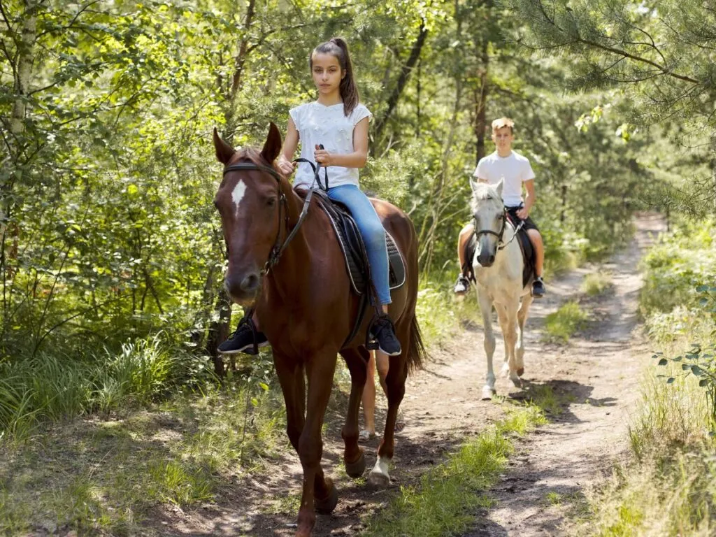 horseback riding horseback riding