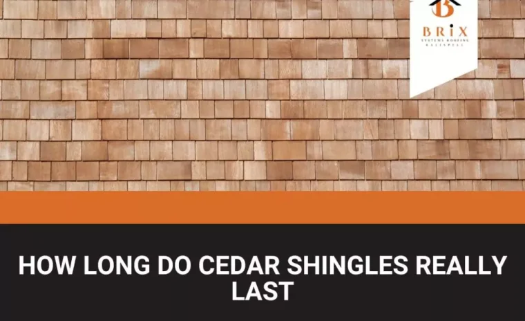 How Long Do Cedar Shingles Really Last