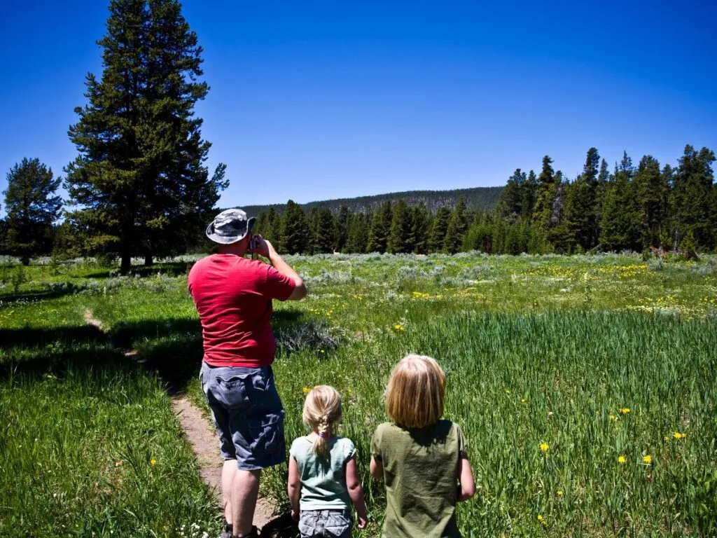 wildlife viewing wildlife viewing